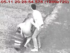 Czerwony zwierzęcy p ...